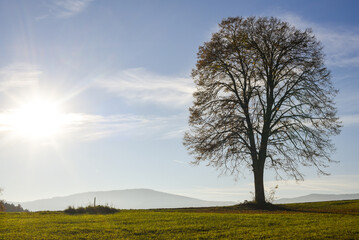 Fototapeta premium Vorau-Puchegg, Steiermark, Österreich, 2015