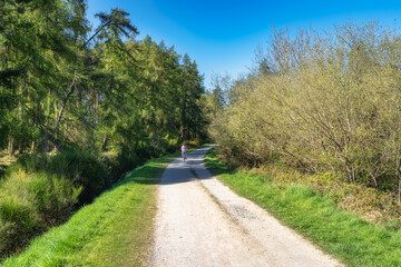 A picturesque gravel path surrounded by lush greenery is ideal for enjoying relaxing strolls, engaging in outdoor activities and creating moments with friends, Bohernabreena Reservoir, Dublin, Ireland
