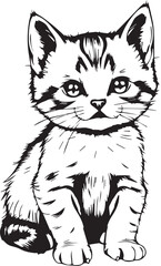 Cute kitten. Hand drawn vector illustration