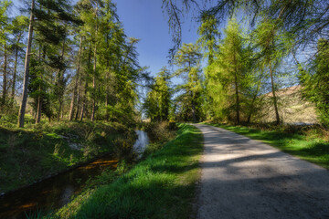 A beautiful and tranquil pathway that runs alongside a gentle, bubbling stream, surrounded by vibrant green trees, all in bright, clear and beautiful weather, Bohernabreena Reservoir, Dublin, Ireland