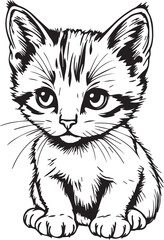 Cute kitten. Hand drawn vector illustration