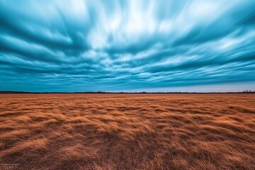 Expansive field under a dramatic cloudy sky creating a mood of tranquility and natural beauty