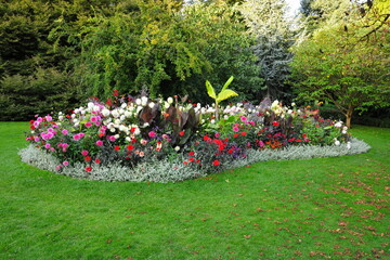 Beautiful garden with a lush grass lawn and colourful flowers in bloom