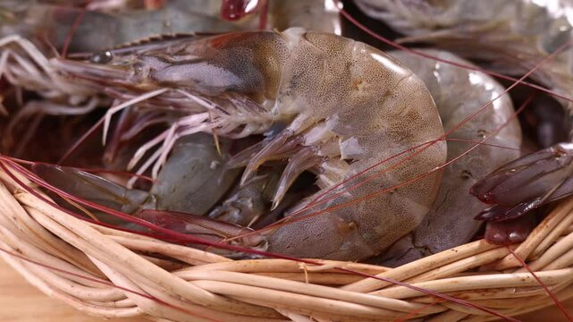 Fresh sea shrimp for cooking