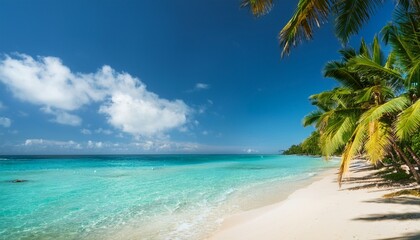 Fototapeta premium serene tropical beach with palm trees and clear blue water