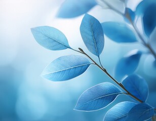 delicate branch of light blue leaves in soft light
