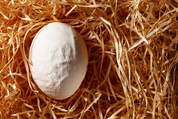 Obraz premium Wrinkled, deformed egg in a straw. An ugly abnormal crooked egg as a result of a lack of trace elements. 