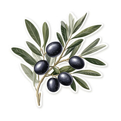 Olive Branch with Fruits