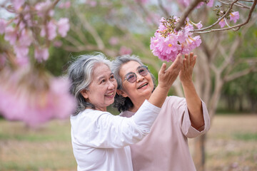 Obraz premium Elderly women with gray hair enjoying a beautiful moment together