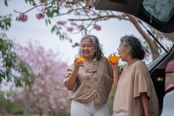 Obraz premium Two elderly women enjoying a refreshing orange juice healthy drink