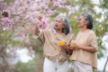 Fototapeta premium Two elderly women enjoying a refreshing orange juice healthy drink
