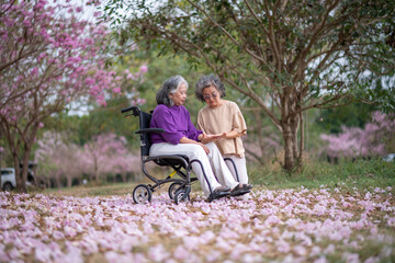 Women in beautiful outdoor setting surrounded by pink blossoms seated in a wheelchair