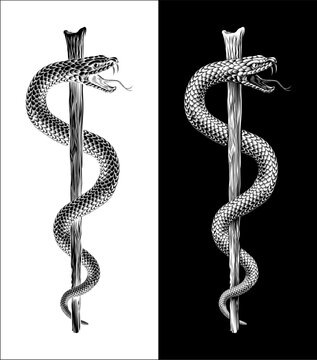 Rod of Asclepius staff medical symbol. Intertwined snake around a rod or wooden staff. Often mistakenly called a Caduceus. Doctor icon for medicine and health care. Vintage woodcut etching style.