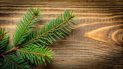 A spruce branch with needles curled around its woody stem rests on a wooden planks background featuring natural wood grain texture and subtle shading , nature photography, nature