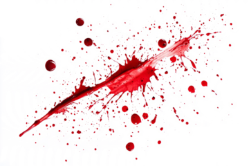 Blood splatter pattern with scattered drops, spreading outward, isolated on a white background.