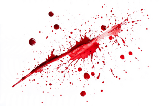 Blood splatter pattern with scattered drops, spreading outward, isolated on a white background.