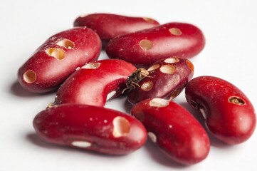 Red kidney beans show damage from bean weevils, with multiple holes eaten into the surface of the legumes.