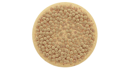 Isolated Cells Biological Microscopic Bacteria Organism