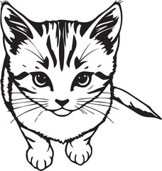 Cute kitten. Hand drawn vector illustration