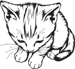 Cute kitten. Hand drawn vector illustration