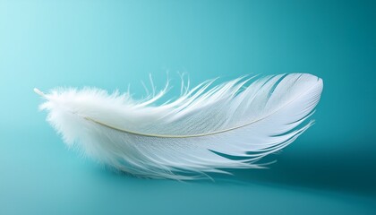 Obraz premium floating white feather against a soft blue background with gentle lighting and smooth textures for minimalistic design