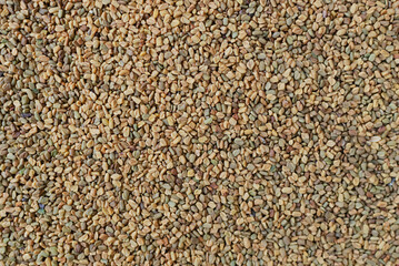Background Dry fenugreek or shamballa - a medicinal plant from the Middle East. Alternative medicine concept. Top view. Selective focus