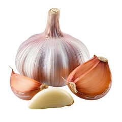Garlic and cloves of garlic on transparent background