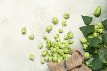Sack bag with fresh green hops and leaves on grunge background