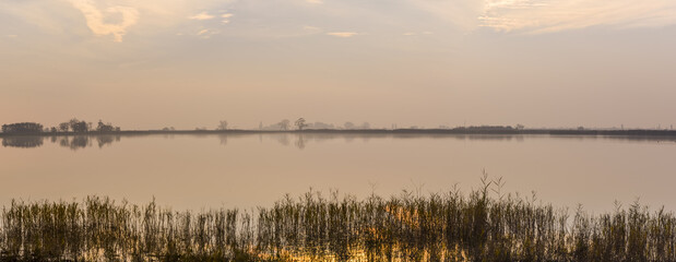 Pannonnisch, Seewinkel, Burgenland, Österreich