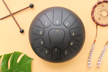 Glucophone with sticks, palm leaf and dream catcher on beige background