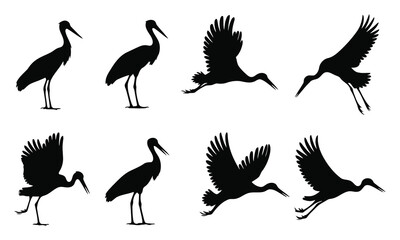 Set of bird silhouettes in various flying poses