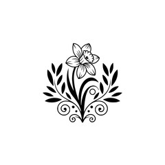 Elegant Daffodil Floral Emblem, Monochromatic Line Art on White