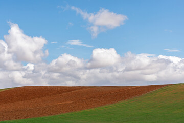 Scenic view of tilled earth and vibrant green field against sky in Setif, Algeria.