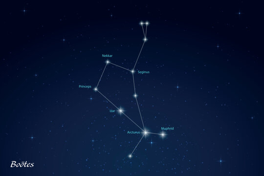 Bootes Constellation with Star Names in Night Sky
