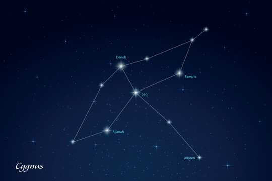 Cygnus Constellation with Star Names in Night Sky
