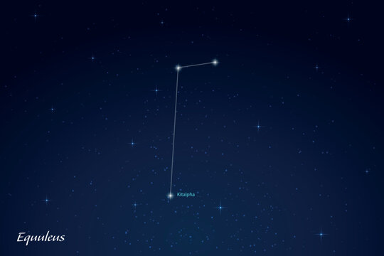 Equuleus Constellation with Star Names in Night Sky