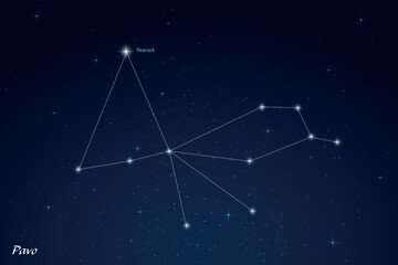 Fototapeta premium Pavo Constellation with Star Names in Night Sky