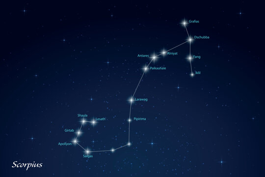 Scorpius Constellation with Star Names in Night Sky