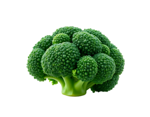 Fresh and Vibrant Broccoli Head Isolated