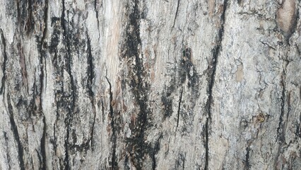 Rough and uneven wood surface, wooden textured background