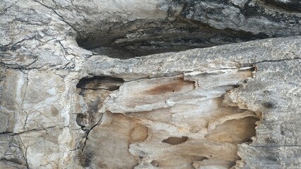 old stone wall, tree wood textures , rough of tree textured surface background