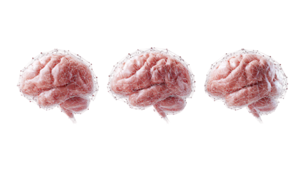 AI Brain with Neural Network Set of Three Different Poses on Transparent Background for Tech Branding, Artificial Intelligence, or Innovation Design