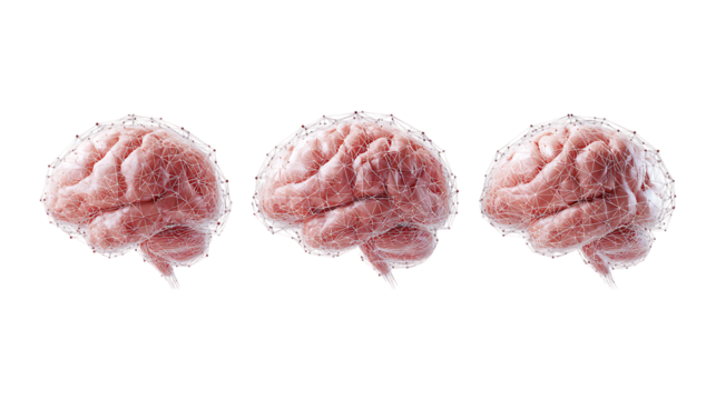 AI Brain with Neural Network Set of Three Different Poses on Transparent Background for Tech Branding, Artificial Intelligence, or Innovation Design