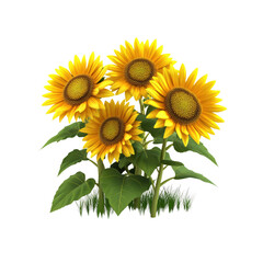 Fototapeta premium Vibrant Cluster of Four Sunflowers in Full Bloom