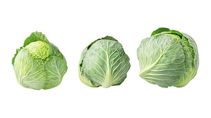 Fototapeta premium Pack of Cabbage set Against Transparent Background for Organic Food Branding, Healthy Eating Promotion, or Culinary Design Projects