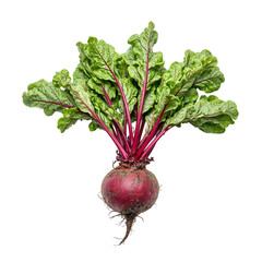 Close up of a ripe vibrant beetroot with lush green leaves perfect for healthy lifestyle nutrition and organic farming concepts