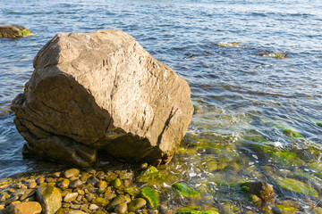 huge rock on the pebble sea shore. transparent calm water with seaweed near the coast. summer vacation at the beach on a sunny morning