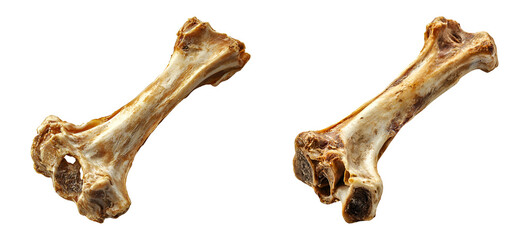 Cooked bone isolated on transparent background.