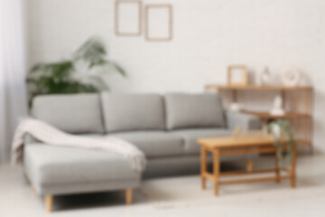 Cozy sofa and coffee table with plant in living room. Blurred view