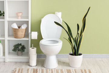 Toilet bowl, shelving unit and houseplants near green wall in rest room